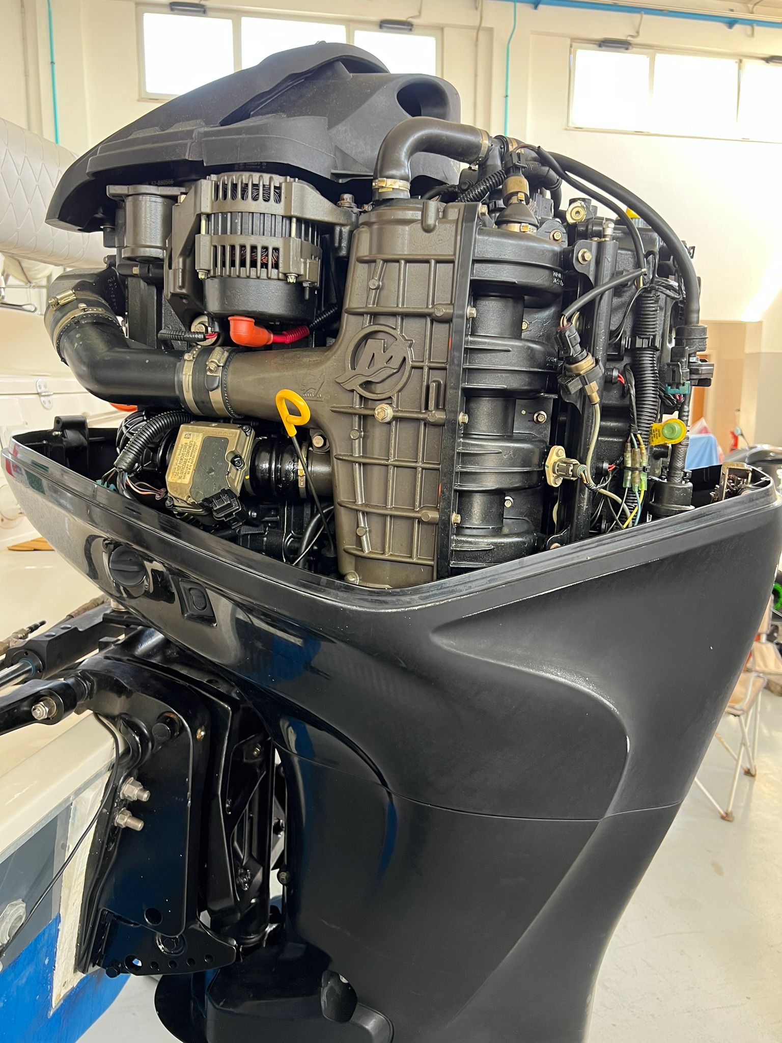 WhatsApp Image 2024-09-25 at 20.06.21 (1)