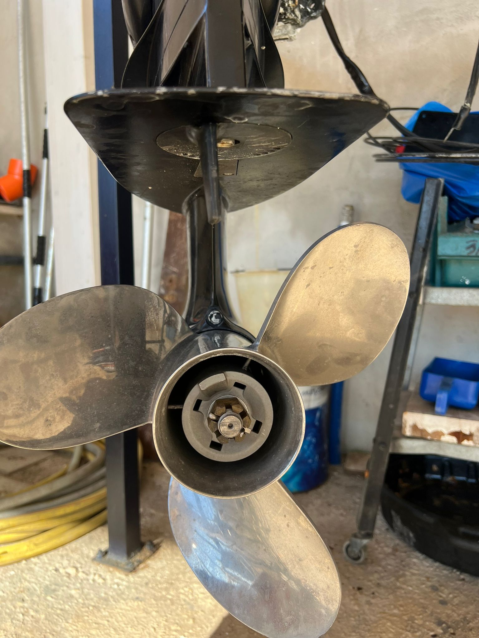 WhatsApp Image 2024-09-26 at 09.18.48 (1)