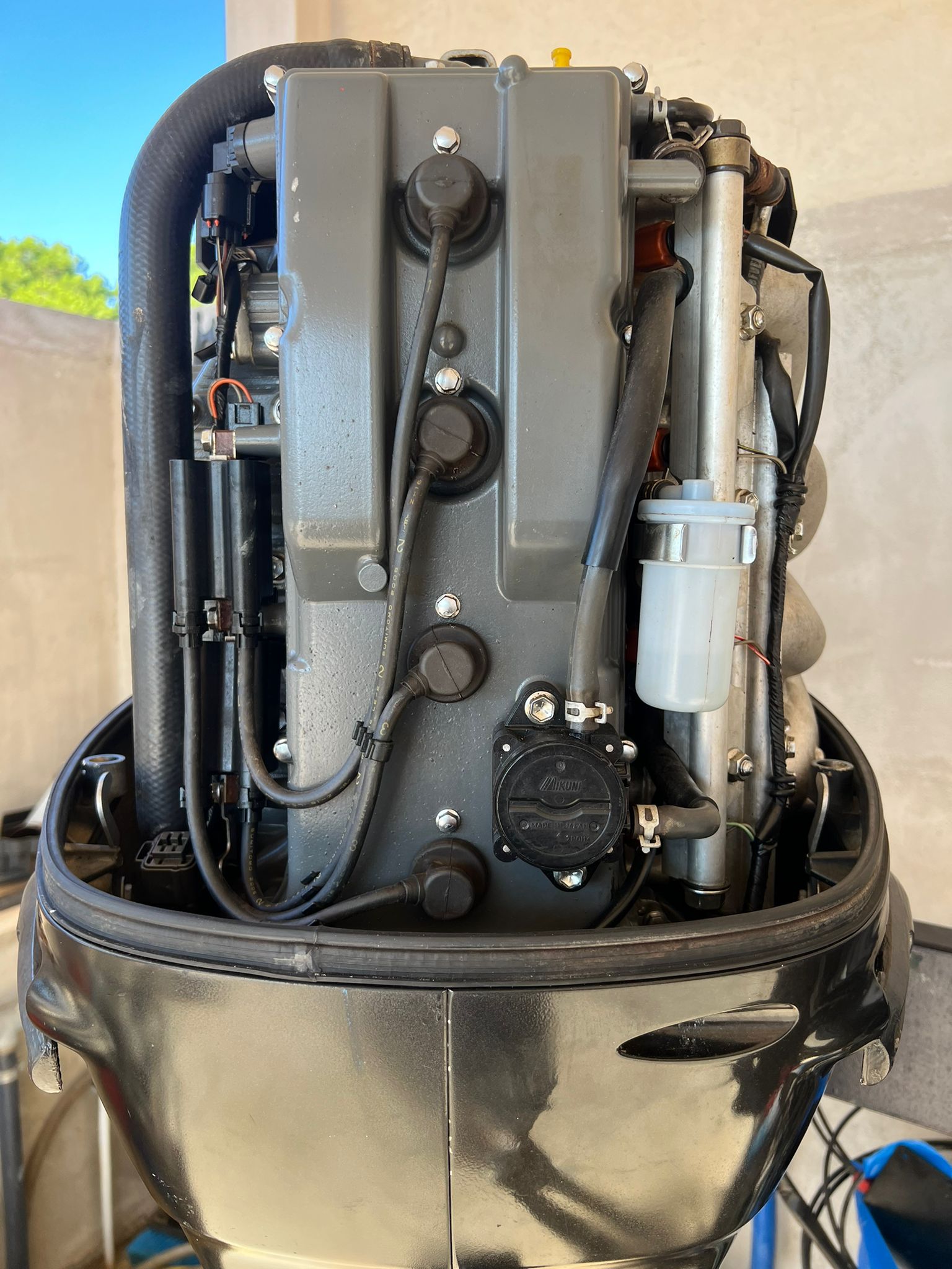 WhatsApp Image 2024-09-26 at 09.18.50